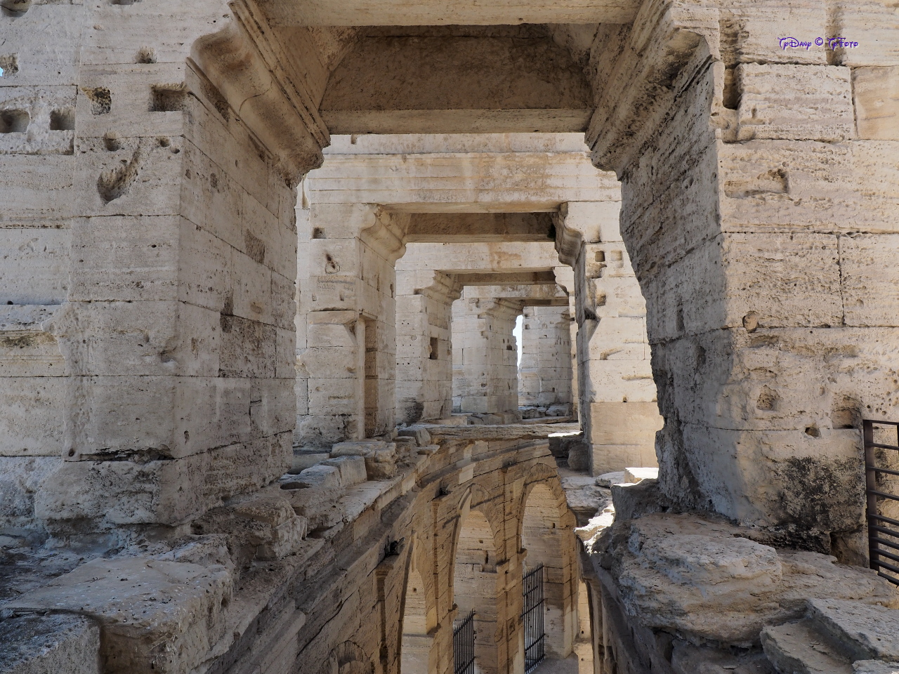 058-F8080959