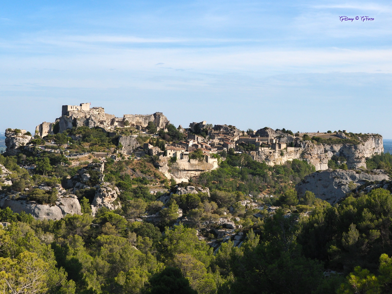 033-F8070917
