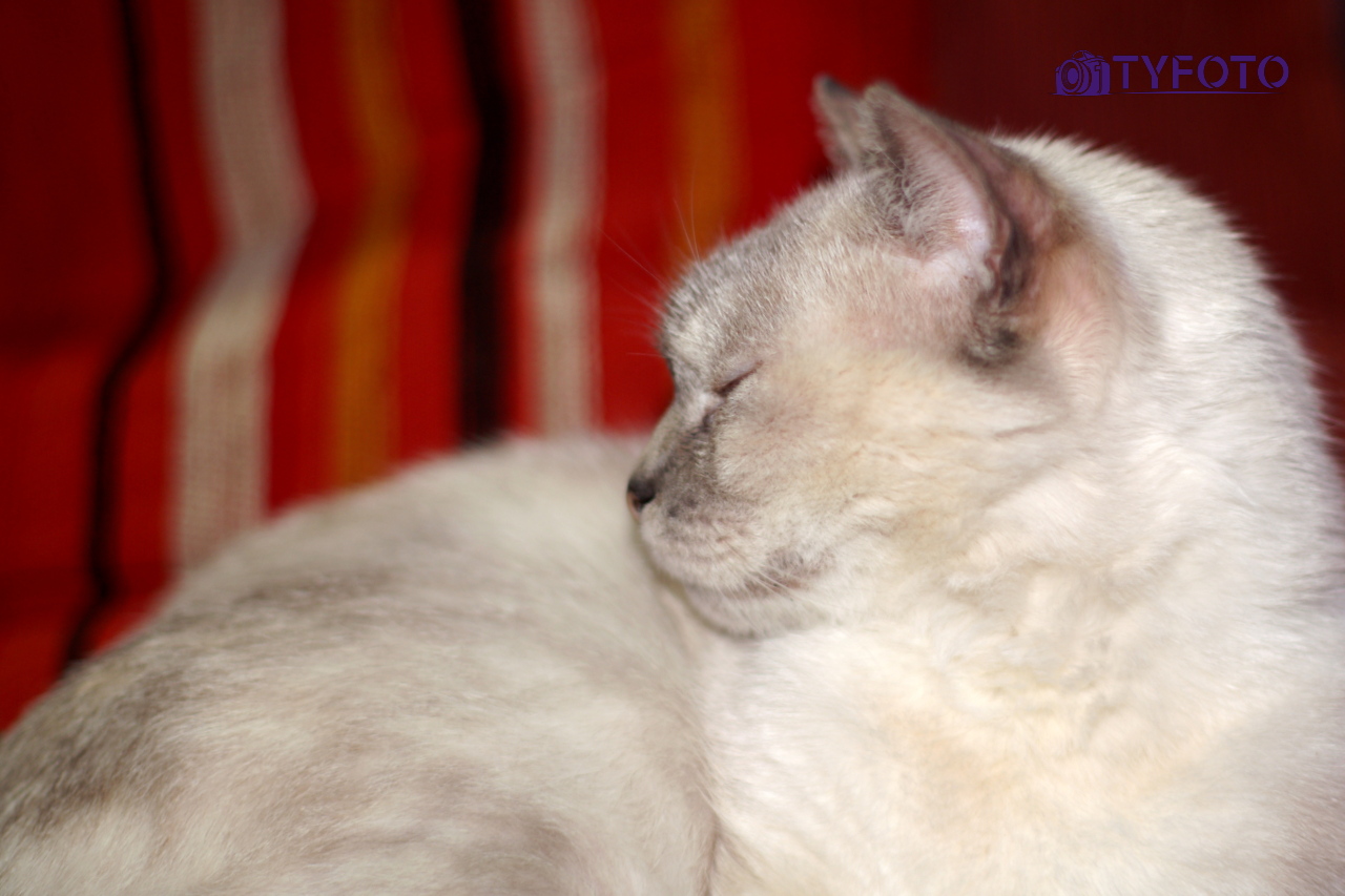 PICT0003