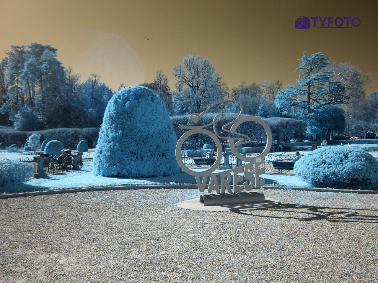 TY011911