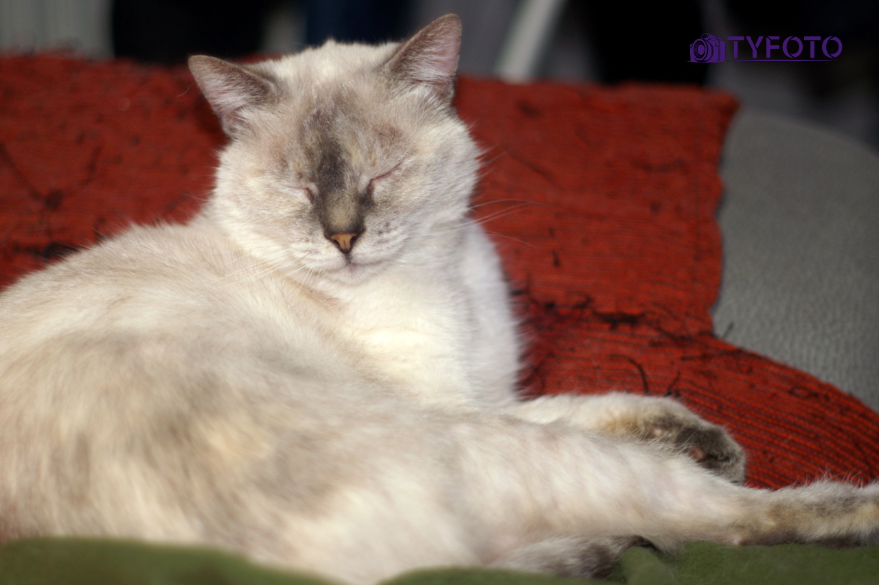 PICT0004