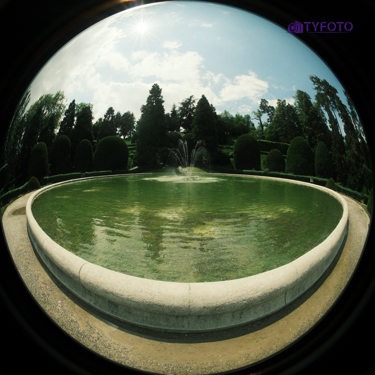 TYFX0481