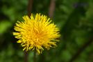 DSCF0094