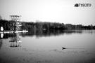 TYF_0552
