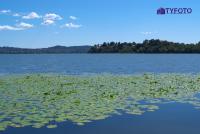DSCF0199