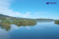 DSCF0231