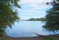 DSCF0233