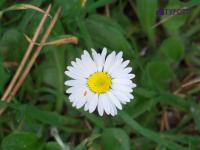 IMGP0116