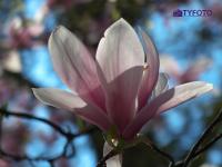 IMGP0147