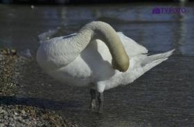 NIKON D1_20260331_202954