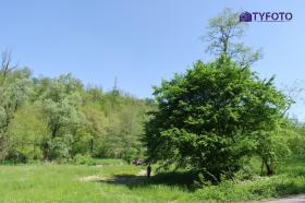 TYKP0135