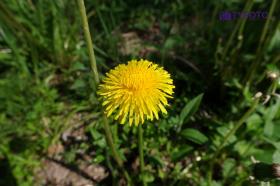 TYKP0097
