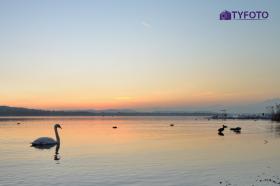 TYD_0206