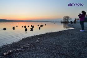 TYD_0180