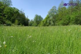 TYKP0136