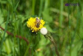 DSCF0115