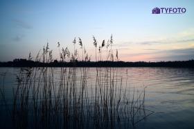 TYF_0208