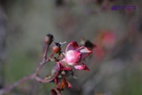 CRW_0082