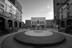 TYF_0274