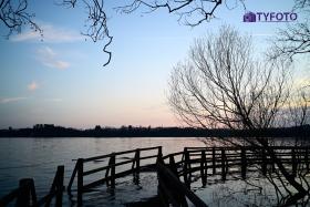 TYF_0203