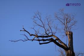 CRW_0080