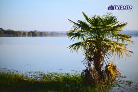 TYF_0576