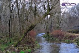 CRW_0023