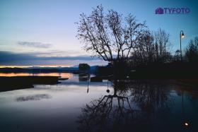 TYF_0100
