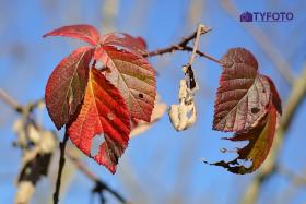 CRW_0055