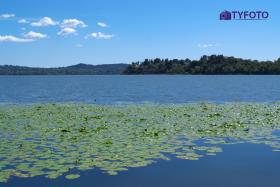 DSCF0199