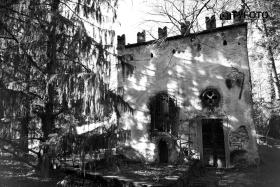 TYC_0100