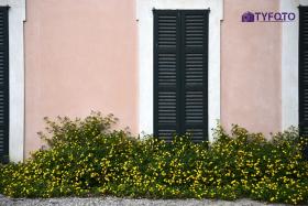 TYF_0726