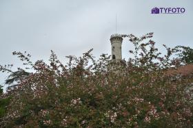TYF_0738