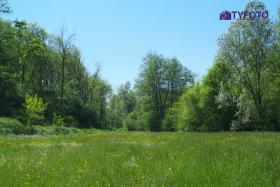 DSCF0147