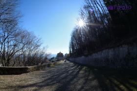 TYD_0219