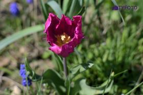 TYC_0191