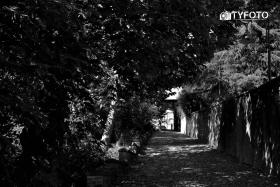 TYF_0833