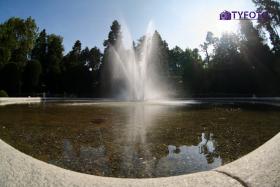 IMG0037
