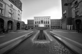 TYF_0277