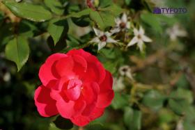 DSC00055