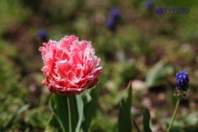 IMG_0182
