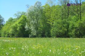 DSCF0138