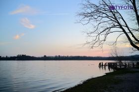 TYF_0201