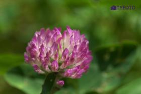 DSCF0160