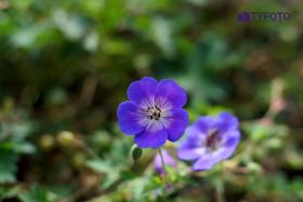 DSC00059