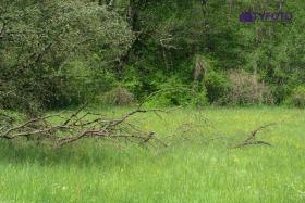 DSCF0164