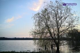 TYF_0194