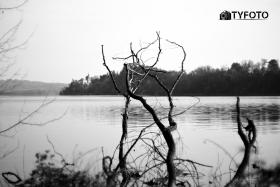 TYF_0577