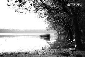 TYF_0549