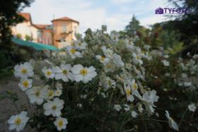 DSC00090